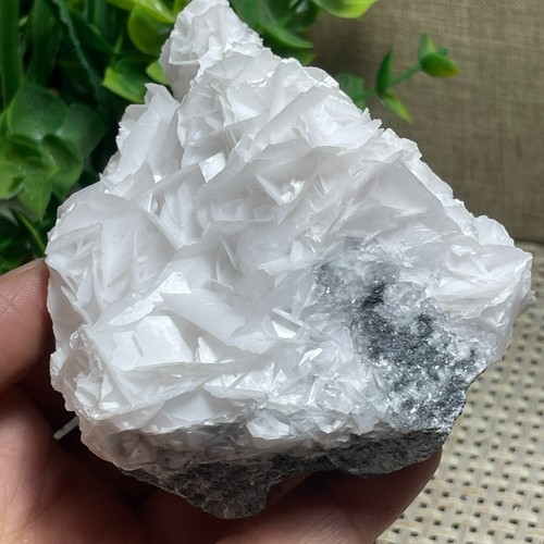 294g rare fluorescent - 294g,