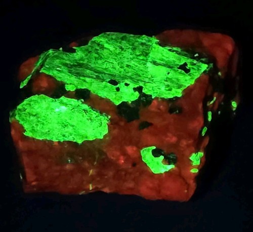 Fluorescent/Phosphorescent