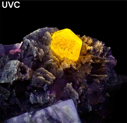 659 fluorescent - 659, gr.