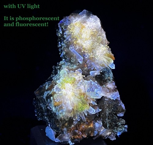 53mm 47g phosphorescent - phosphorescent, &