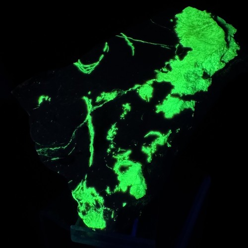 Super phosphorescent radiating - super,